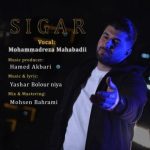 محمدرضا مهابادی – سیگار